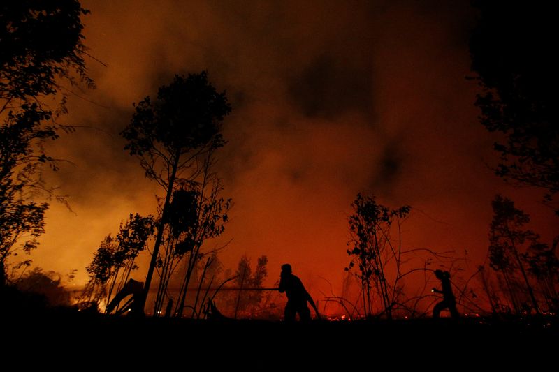 &copy; Reuters. インドネシア当局は２４日、干ばつのため国内で森林火災発生の危険がある地域が過去１週間で倍増しており、乾季のピーク前に大規模な森林火災が発生する懸念が浮上していると発表した