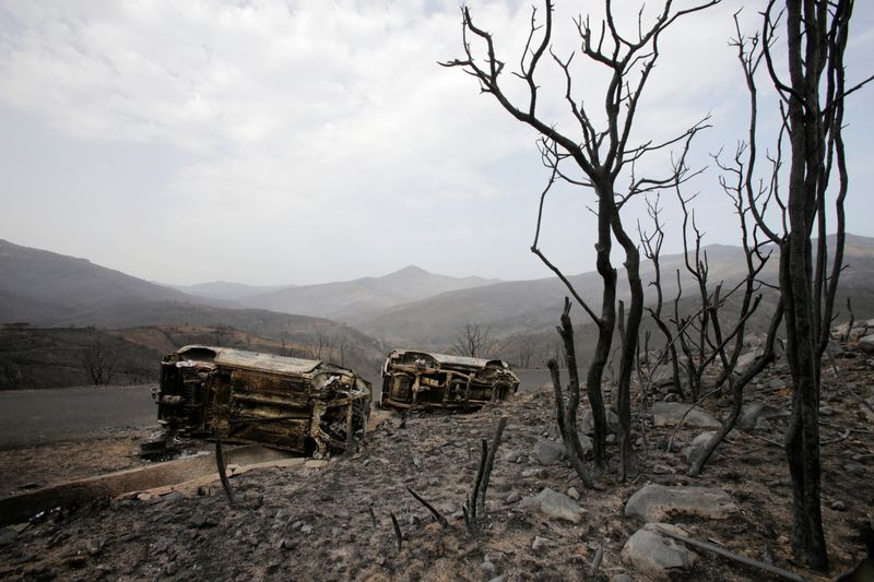 &copy; Reuters. أشجار وسيارات محترقة جراء حرائق الغابات في بجاية بالجزائر يوم الثلاثاء. تصوير: رمزي ابو دينا - رويترز.