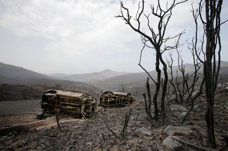 &copy; Reuters. Alberi e veicoli bruciati in seguito a un incendio a Bejaia, Algeria, 25 luglio 2023. REUTERS/Ramzi Boudina