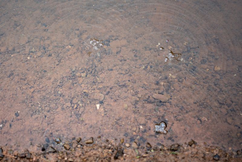 &copy; Reuters. Bubbles of methane from old gas wells rise through the water in a small stream in Roan County, West Virginia, U.S., May 17, 2021. Picture taken May 17, 2021.   REUTERS/Dane Rhys/File Photo