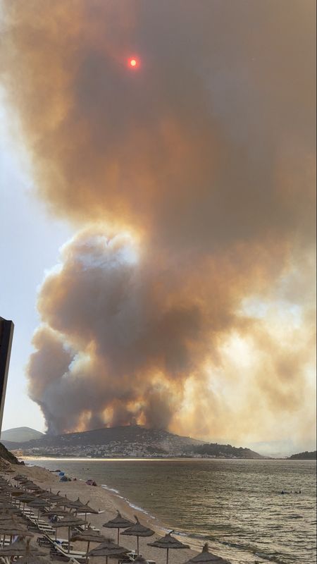 &copy; Reuters. سحب الدخان تتصاعد بسبب اندلاع حرائق في غابات طبرقة في صورة مأخوذة من مقطع فيديو على وسائل التواصل الاجتماعي تم بثها في 24 يوليو تموز 2023 . يحظر 