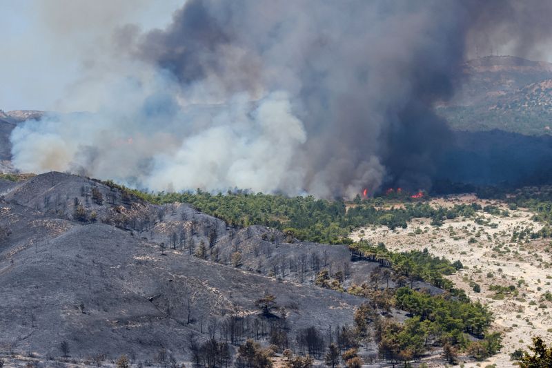 &copy; Reuters. ギリシャ中部で２６日、強風と４０度を超える気温で山火事が発生し、２人が死亡したほか、住民らが避難を余儀なくされている。写真はギリシャ・ロードス島の山火事。２６日撮影。（202