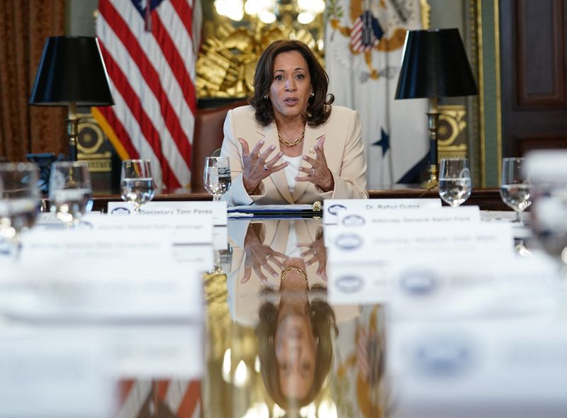 US Vice President Harris condemns attempted takeover of power in Niger