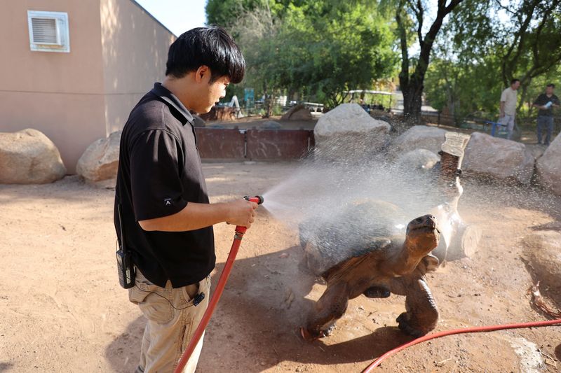 &copy; Reuters. 　７月２７日、米東部が、深刻な熱波に見舞われ、当局者らは気温と湿度の上昇に注意を呼びかけた。写真はアリゾナ州 フェニックスの動物園 動物に水をかける飼育員。２１日撮影（２０