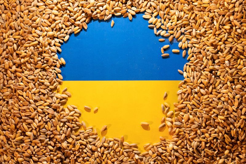 &copy; Reuters. FOTO DE ARCHIVO. La bandera de Ucrania está cubierta de granos en esta ilustración tomada el 9 de mayo de 2022. REUTERS/Dado Ruvic/Illustration/File Photo