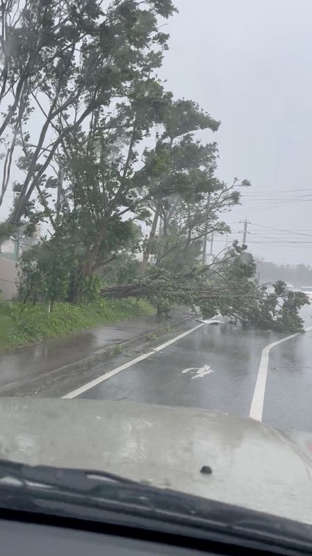 © Reuters. شجرة سقطت على الطريق في أعقاب الإعصار خانون في مقاطعة أوكيناوا يوم الأربعاء في صورة من لقطة شاشة من مقطع مصور على وسائل التواصل الاجتماعي. (يحظر إعادة بيع الصورة أو الاحتفاظ بها في الأرشيف.)