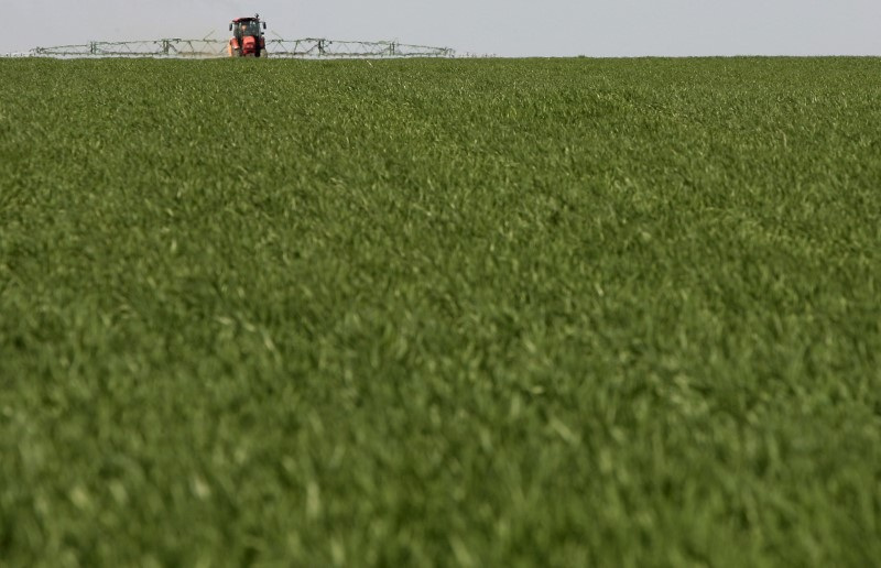 &copy; Reuters. Trator fertiliza terra com produtos químicos. REUTERS/Vladimir Konstantinov