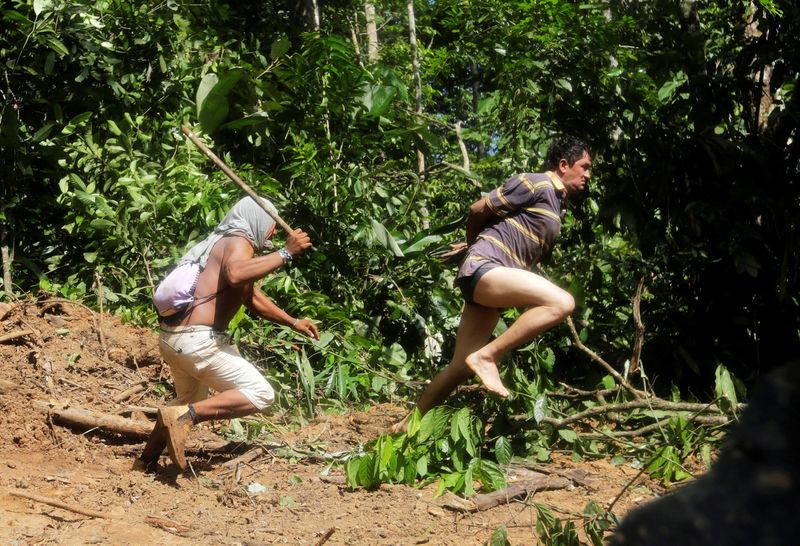 'Narco-deforestation' in focus at upcoming summit of Amazon nations