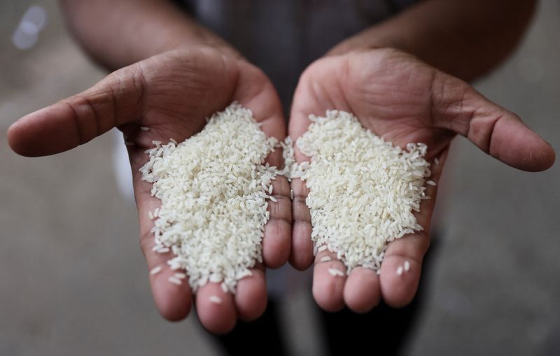 &copy; Reuters. شخص يحمل نوعين مختلفين من الأرز في سوق بمومباي في الهند يوم الرابع من أغسطس آب 2023. تصوير:  فرانسيس ماسكاريناس  - رويترز.