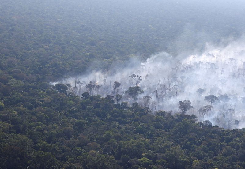 &copy; Reuters. Fumaça de um incêndio sobe no ar, enquanto as árvores queimam entre a vegetação na floresta amazônica do Brasil, perto de Humaitá, Estado do Amazonas, Brasil
03/08/2023
REUTERS/Leonardo Benassatto