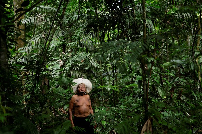 © Reuters. Brazil's indigenous chief Raoni Metuktire poses for a photo during an interview before a summit of Amazon rainforest nations at the Igarape Park, in Belem, Para state, Brazil August 5, 2023. REUTERS/Ueslei Marcelino