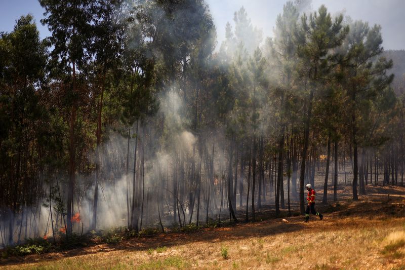 &copy; Reuters. A firefighter works in the aftermath of a wildfire in Proenca-a-Nova, Portugal, August 6, 2023. REUTERS/Pedro Nunes