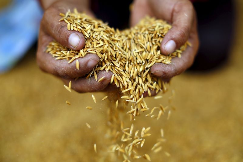 &copy; Reuters. 　８月７日、タイのジュリン商務相は、同国は輸出と国内消費用に十分な生産量を確保しているとして、コメの輸出を停止する理由はないと言明した。写真はウドーンターニーで２０１５年