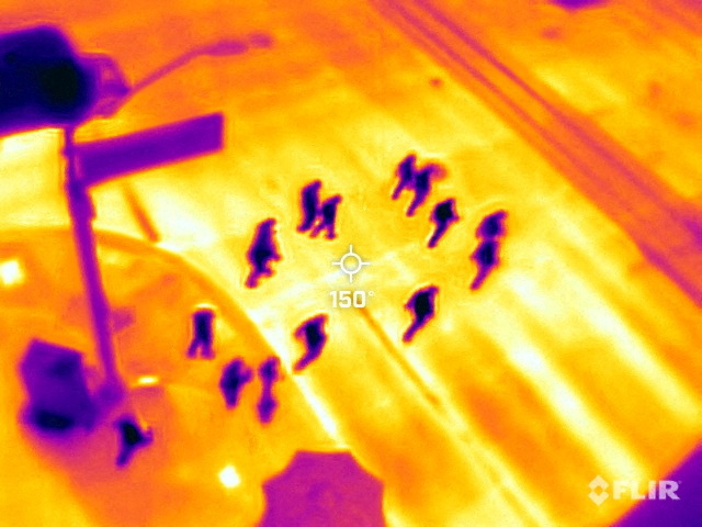 © Reuters. Local residents cross the street to attend a baseball game during a 27 days long heat wave with temperatures over 110 degrees Fahrenheit (43 degrees Celsius), in downtown in Phoenix, Arizona, U.S., July 26, 2023. On July 26 at 12:24 (GMT-7), a Flir One ProThermal camera registered a surface temperature of 150°F (65°C), with an air temperature of 92°F (33°C) according to the National Weather Service.  REUTERS/Carlos Barria      