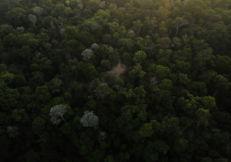 &copy; Reuters. FOTO DE ARCHIVO: Una vista aérea muestra los árboles mientras el sol se levanta en la selva amazónica en Manaos, estado de Amazonas, Brasil 26 de octubre 2022. REUTERS/Bruno Kelly/Archivo