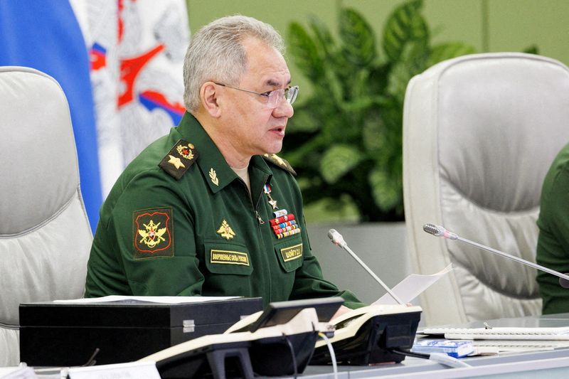 Russia to build up forces in west to counter NATO threat - Shoigu