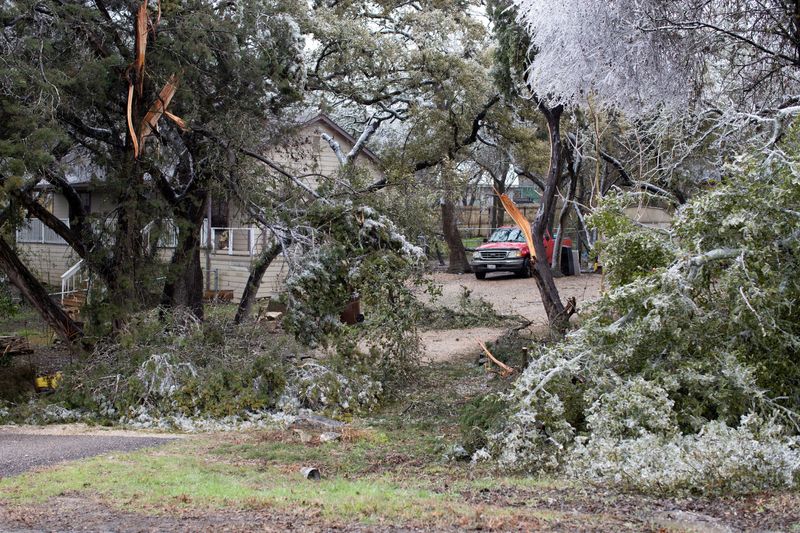 &copy; Reuters. FILE PHOTO: Fallen trees obstruct a road after ice storms and freezing rain in the south of Texas left thousands without power and turned roadways into ice rinks during an extreme cold weather period in San Antonio, Texas, U.S., February 2, 2023.  REUTERS