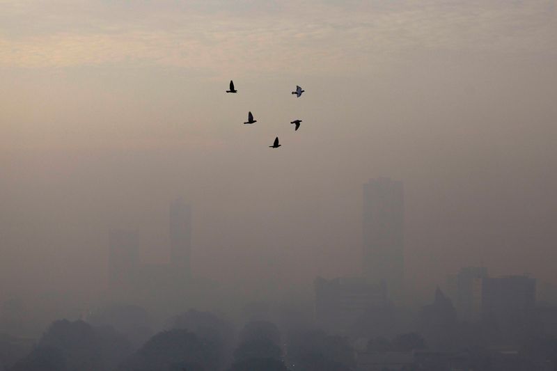 &copy; Reuters. Pájaros vuelan en una mañana con humo en Yakarta, Indonesia, 27 de mayo, 2022. REUTERS/Willy Kurniawan/File photo