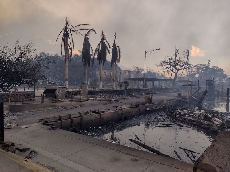 &copy; Reuters. Local destruído por incêndio em Lahaina, no Havaí
09/08/2023
REUTERS/Mason Jarvi