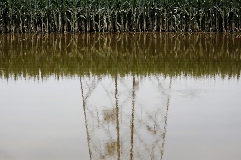 En Chine, les inondations déclenchent des inquiétudes sur la hausse des prix alimentaires