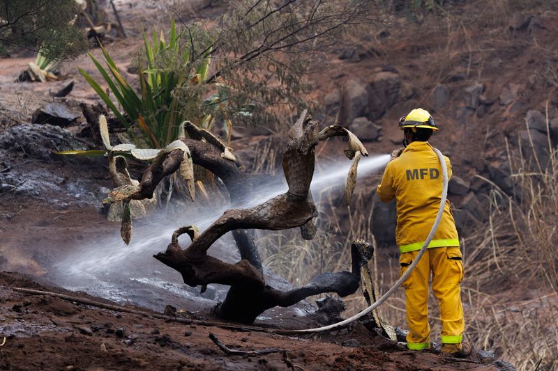 &copy; Reuters. Incêndio em Maui, no Havaí
 13/8/2023    REUTERS/Mike Blake