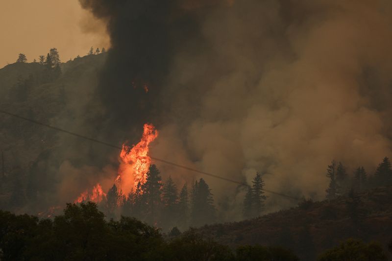 &copy; Reuters. Des arbres prennent feu lors de l'incendie de forêt Eagle Bluff qui a traversé la frontière canado-américaine depuis l'État de Washington, provocant des ordres d'évacuation, à Osoyoos, en Colombie-Britannique, au Canada. /Photo prise le 30 juillet 