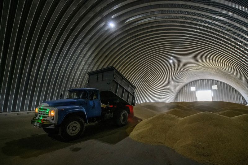 &copy; Reuters. FILE PHOTO: An employee unloads wheat grains inside a storage in the village of Zghurivka, amid Russia's attack on Ukraine, in Kyiv region, Ukraine August 9, 2022.  REUTERS/Viacheslav Musiienko/File Photo