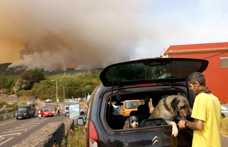 Violent incendie sur l'île de Tenerife, des milliers de personnes évacuées