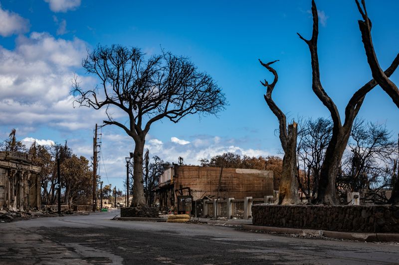 © Reuters. Trees charred by the Maui wildfires stand near the shell of a building in Lahaina, Hawaii, U.S. August 15, 2023.      U.S. Army National Guard/Staff Sgt. Matthew A. Foster/Handout via REUTERS  THIS IMAGE HAS BEEN SUPPLIED BY A THIRD PARTY.