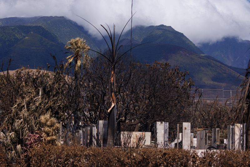 &copy; Reuters. FILE PHOTO: A large L is carved atop a mountain looking out over the fire ravaged town of Lahaina on the island of Maui in Hawaii, U.S., August 15, 2023.  REUTERS/Mike Blake/File Photo
