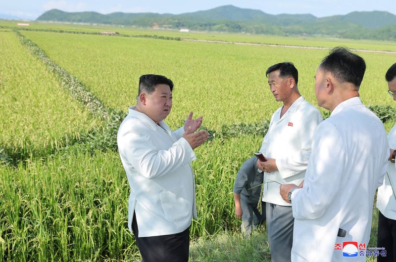 &copy; Reuters. 　８月１８日、北朝鮮の金正恩総書記が台風で被害を受けた農地を視察した。写真はＫＣＮＡが１７日に配信。提供写真（２０２３年　ロイター／KCNA）
