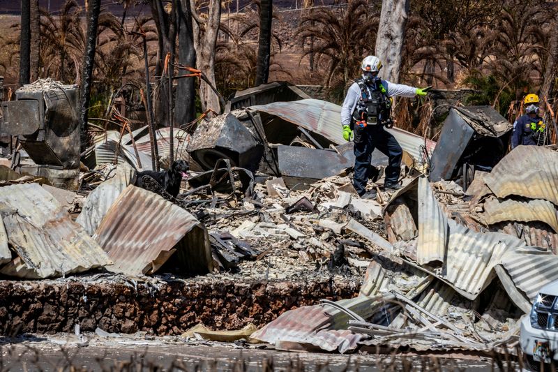 &copy; Reuters. Buscas em áreas danificadas por incêndio no Havaí
 15/8/2023  Divulgação via REUTERS