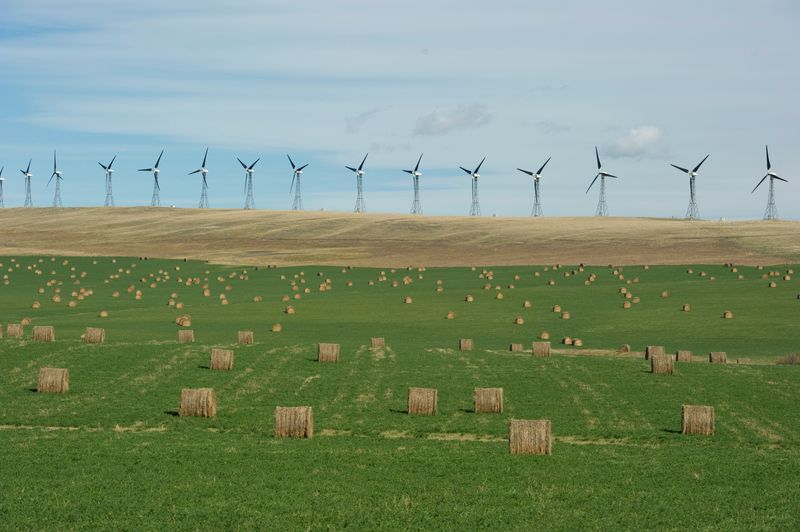 &copy; Reuters. FILE PHOTO: A wind farm generates electricity near bales of hay in the foothills of the Rocky Mountains near the town of Pincher Creek, Alberta September 27, 2010.  REUTERS/Todd Korol/File Photo