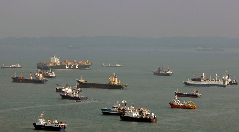 &copy; Reuters. FILE PHOTO: Container ships and bulk carriers are seen in the shipping lanes off the coast of Singapore March 10, 2009.  REUTERS/Vivek Prakash/File Photo