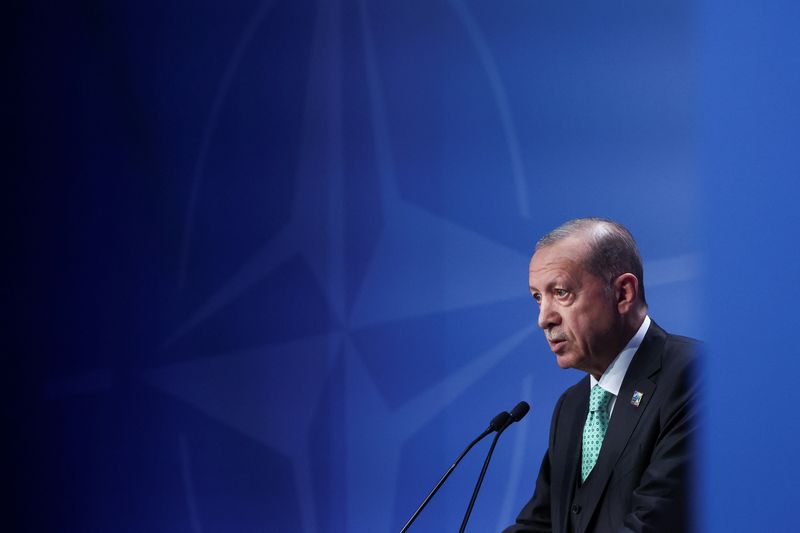 &copy; Reuters. الرئيس التركي رجب طيب أردوغان يتحدث في فيلنيوس في ليتوانيا يوم 12 يوليو تموز 2023. تصوير: كاسبر بيمبل - رويترز.