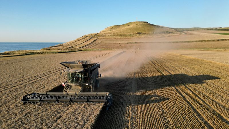 &copy; Reuters. FILE PHOTO: A farmer harvests his field of wheat in Escalles, near Calais, France, August 9, 2023. REUTERS/Pascal Rossignol/File Photo