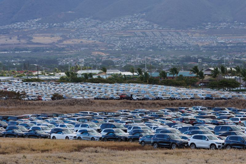&copy; Reuters. Hundreds of vehicles are left parked in a field adjacent to the Kahului Airport rental car facility on Hawaii's Maui island, in Hawaii, U.S., August 14, 2023.  REUTERS/Mike Blake/file photo