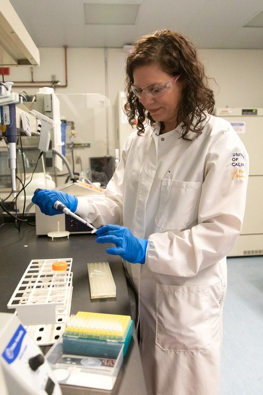 &copy; Reuters. Geneticista em laboratório da Universidade da Califórnia em Santa Cruz, EUA
10/02/2022
Carolyn Lagattuta, UC Santa Cruz/Handout via REUTERS