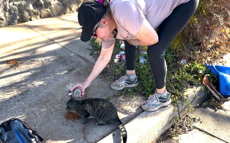 In Lahaina, one resident's daily trip to her burnt-out home to feed her cats By Reuters