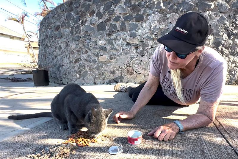 In Lahaina, one resident's daily trip to her burnt-out home to feed her cats