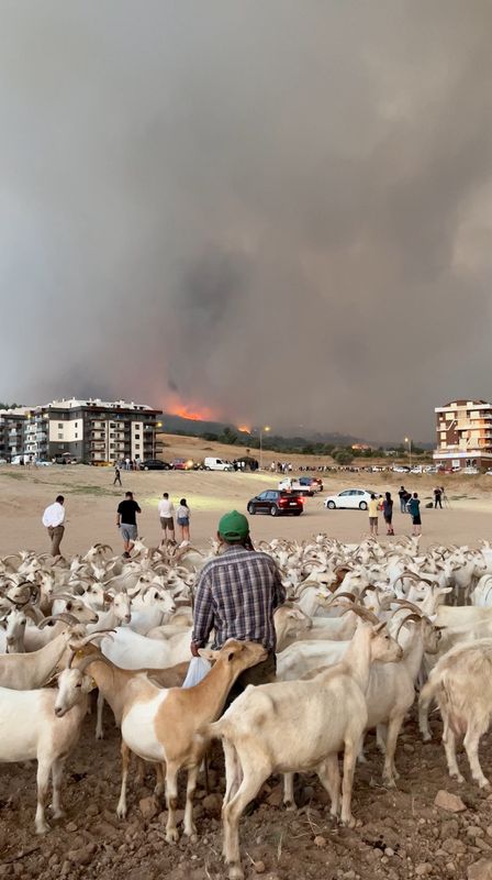 &copy; Reuters. People watch from a distance as smoke billows from a wildfire in the background, in Canakkale, Turkey, August 22, 2023, in this screengrab obtained from a social media video. Rifat Cakmak - Onedio/via REUTERS  