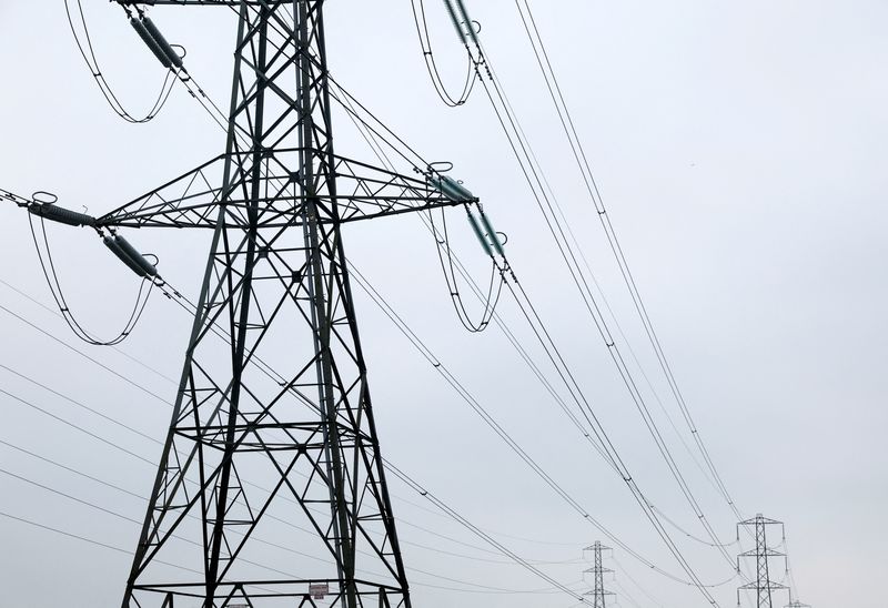 © Reuters. FILE PHOTO: Electricity pylons are seen in Wellingborough, Britain, March 30, 2022. REUTERS/Andrew Boyers/File Photo