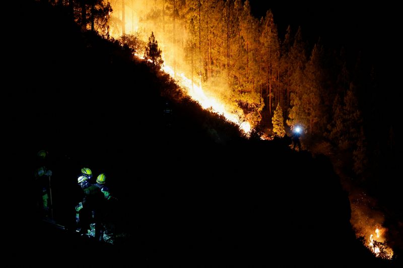 &copy; Reuters. رجال الإطفاء يعملون أثناء إخماد حريق الغابة أيام في تينيريفي بإسبانيا يوم 16 أغسطس آب 2023. تصوير: بورخا سواريز - رويترز. 