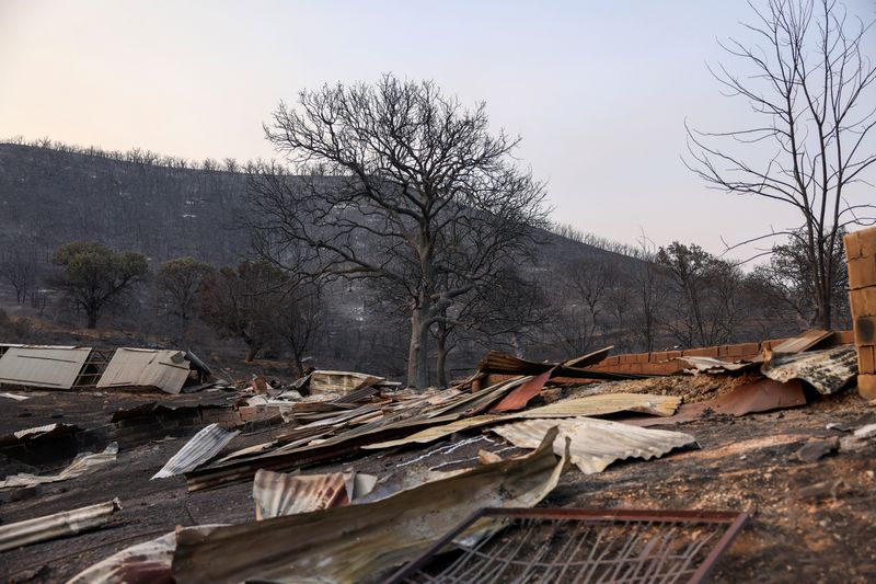 &copy; Reuters. La zona incendiada donde se encontraron los cuerpos de dieciocho personas, que las autoridades creen que eran migrantes, tras un incendio forestal, cerca del pueblo de Avantas en la región de Evros, Grecia. 23 de agosto de 2023. REUTERS/Alexandros Avrami