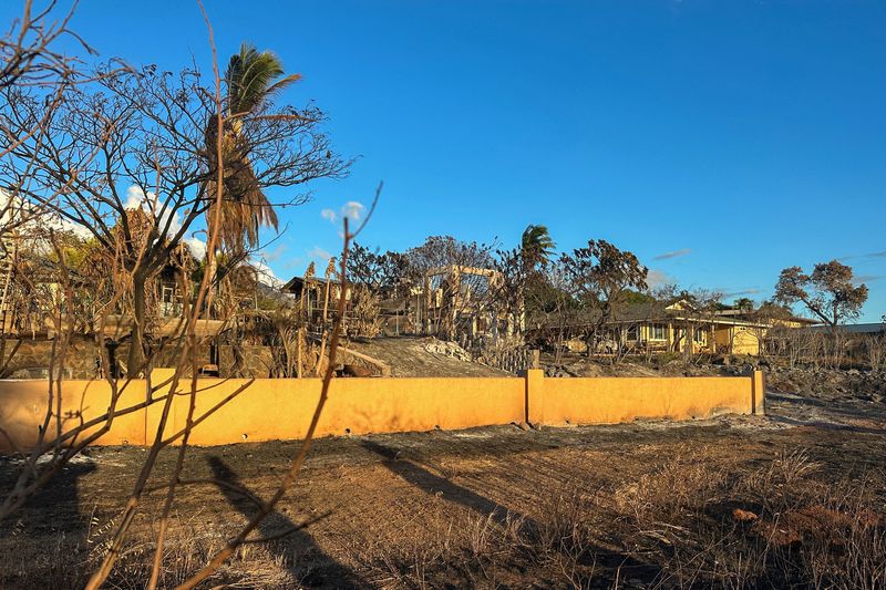 &copy; Reuters. FILE PHOTO: Homes damaged by fire are seen in Lahaina on the island of Maui in Hawaii, U.S., August 14, 2023.  REUTERS/Jorge Garcia/File Photo