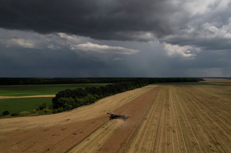 &copy; Reuters. مزارع يشغل ماكينة لحصد بذور اللفت في حقل بالقرب بلدة بمنطقة تشيركاسي في أوكرانيا يوم 18 يوليو تموز 2023. تصوير: فالنتين أوجيرنكو - رويترز.
