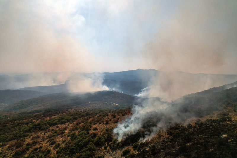 &copy; Reuters. Smoke rises as a wildfire burns at Dadia National Park in the region of Evros, Greece, August 29, 2023. REUTERS/Alexandros Avramidis