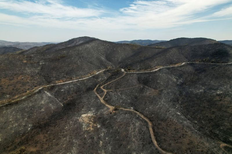 © Reuters. Smoke rises as a wildfire burns at the Dadia National Park in the region of Evros, Greece, August 29, 2023. REUTERS/Alexandros Avramidis