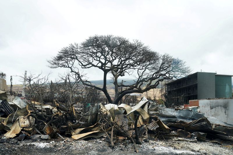 &copy; Reuters. FILE PHOTO: A view shows the damages as U.S. President Joe Biden and first lady Jill Biden (not pictured) visit the fire-ravaged town of Lahaina on the island of Maui in Hawaii, U.S., August 21, 2023. REUTERS/Kevin Lamarque/File Photo