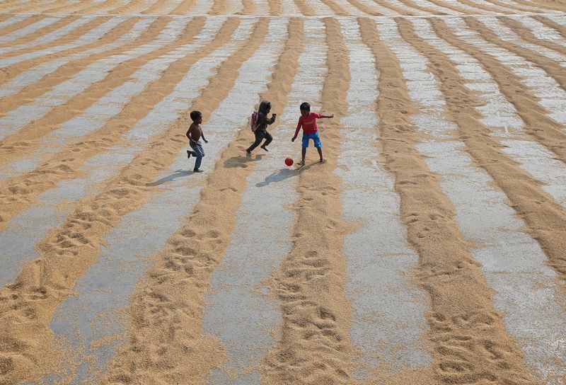 &copy; Reuters. Secagem de arroz na Índia. REUTERS/Rupak De Chowdhuri/File Photo